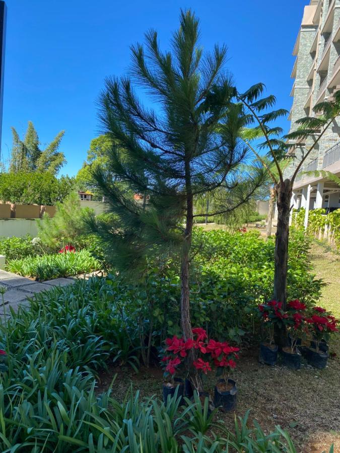 Apartament Near Johnhay Minesview Fast Wi-Fi Netflix Balcony Baguio City Zewnętrze zdjęcie